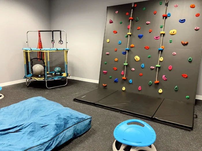 Abacus Therapies - New ABA Therapy Center in Charlotte NC - Center Premises (Climbing Wall) 